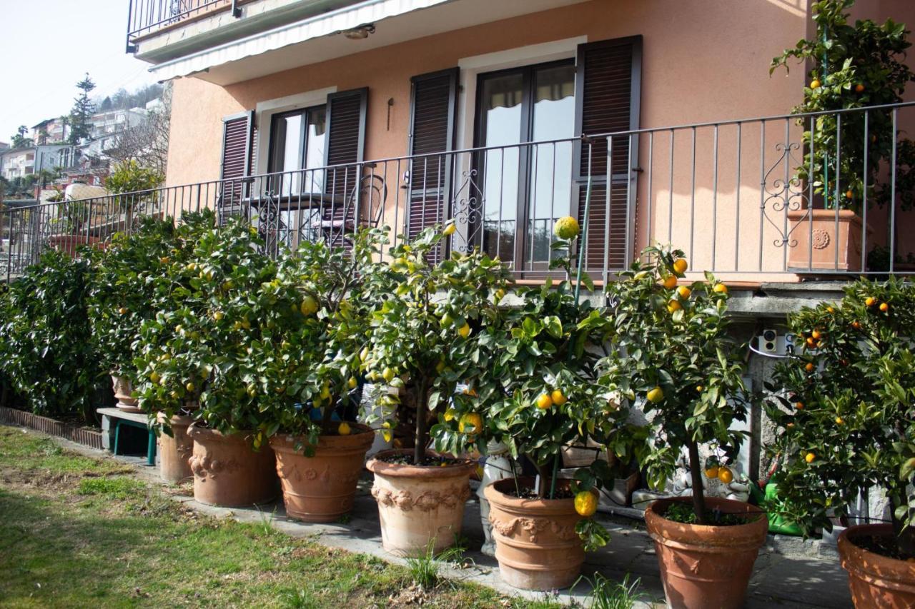 Ferienwohnung Panoramic Orselina Exterior foto